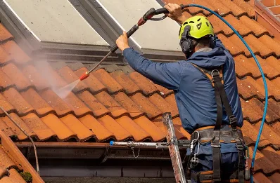 Démoussage et hydrofuge de toiture à Denicé